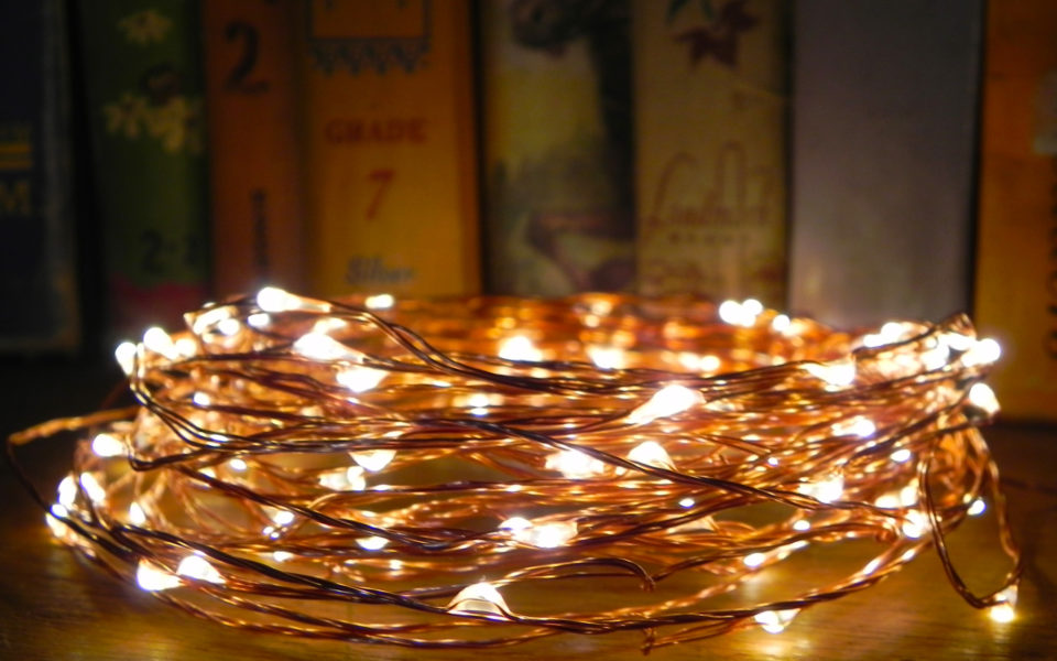 Copper Wire with Warm White LED Lights