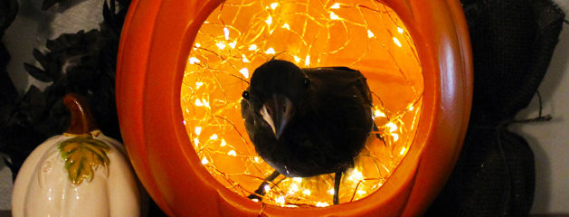 Light up your Halloween