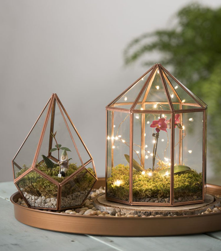 http://www.gardeners.com/buy/gazebo-tabletop-glass-terrarium-for-plants/8591751.html?cgid=TerrariumsFairyGardens_Cat&start=6&utm_campaign=Pinterest%20Buy%20Button&utm_medium=Social&utm_source=Pinterest&utm_content=pinterest-buy-button-1110a4e06-74a0-408d-b521-97963125fcd5
