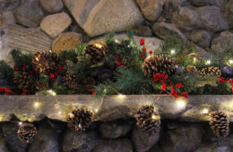 Make the Holidays Magical With Starry String Lights