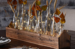 Norsis Starry String Light Ideas for Thanksgiving